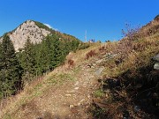 PIZZO BADILE (2044 m) ad anello colorato d’autunno da Piazzatorre-28ott24- FOTOGALLERY